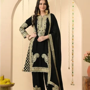 Black Embrodary Indian Dress Suit